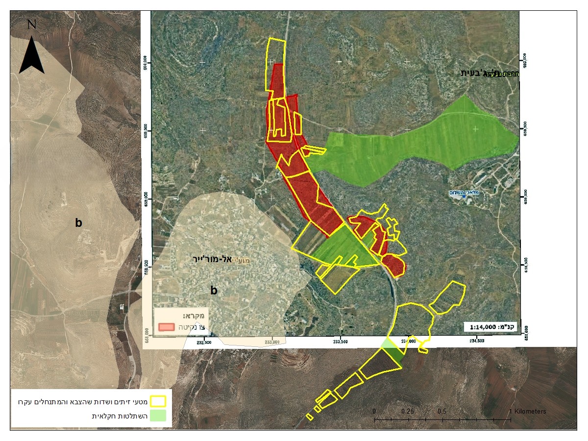 Image for the event titled: Land effectively seized and cleared of its olive trees by settlers and soldiers since August 21.