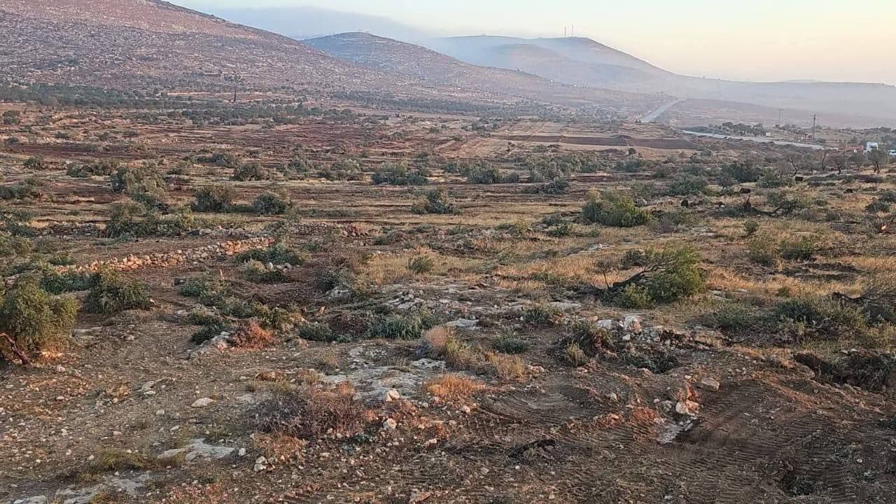 Image for the event titled: Israeli D9 have uprooted all the hundred year old trees on Augustus 22 in Al-Maghayyir