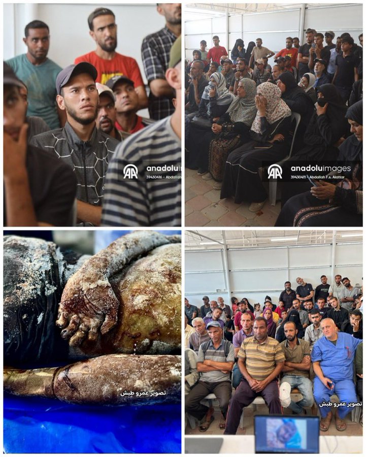 Image for the event titled: Gazan families try to identify their missing relatives among the returned bodies – Oct. 16