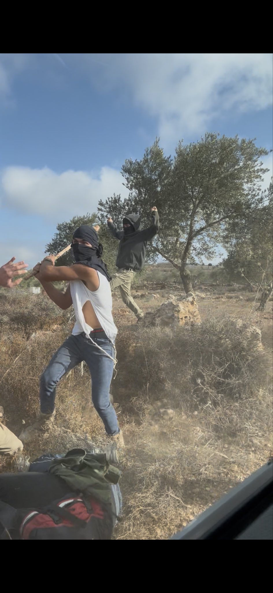 Image for the event titled: Settler clubbing an elderly woman harvesting her olive tree