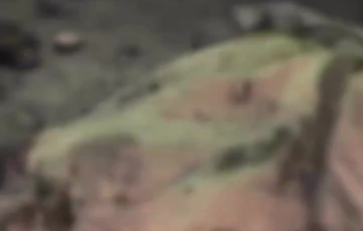 Thumbnail image of a video tagged with Saed Abu Nabhan