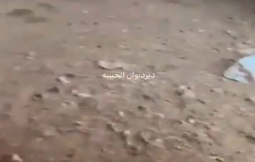 Thumbnail preview image for the video titled: Settlers have stolen 800 sheep and set fire to the agricultural facilities in Deir Dibwan