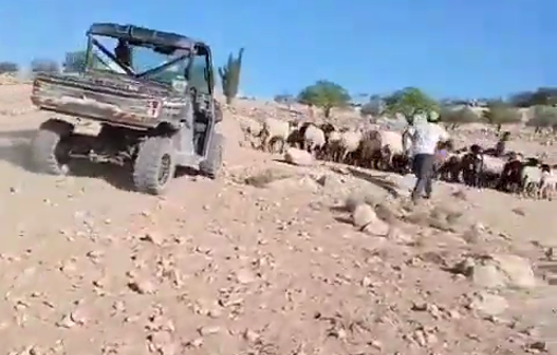 Thumbnail preview image for the video titled: Settlers evict Palestinian shepherds in Ma’in from their land using an ATV