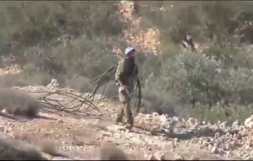Thumbnail image of a video tagged with Ariel Ohayon
