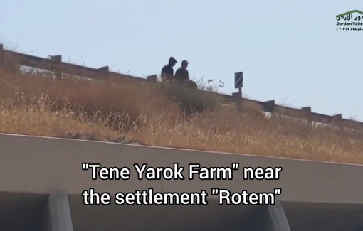 Thumbnail preview image for the video titled: For the third day in a row the settler Gilad Amosi blocks the Palestinian herds from returning from the grazing area to drink