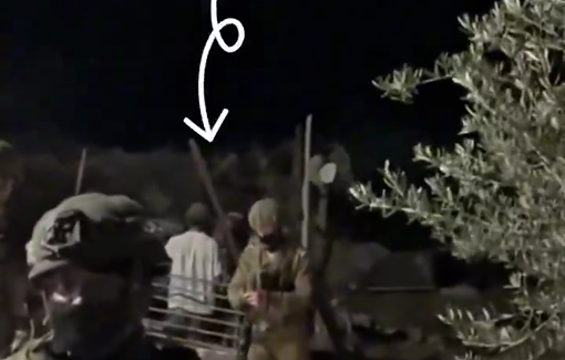 Thumbnail preview image for the video titled: Settlers stole 3 sheep and then came back at night — with full Israeli military support— to steal a fourth