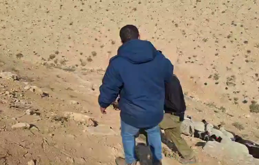 Thumbnail preview image for the video titled: Shimon Attiya invaded with his flock of sheep, into the village of Umm al-Khair