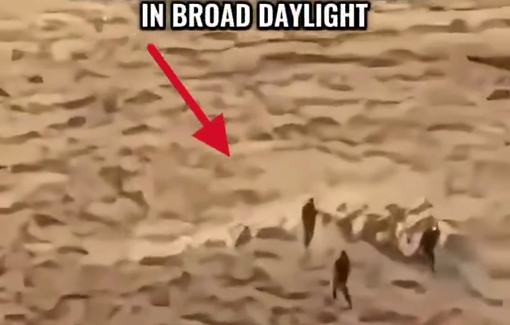 Thumbnail preview image for the video titled: Settlers attacked Palestinians grazing sheep in Ein Samia, stealing 100+ sheep and beating them