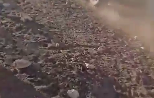 Thumbnail preview image for the video titled: Settlers drivin ATV harassing a Palestinian family living on the outskirts of Samu’a