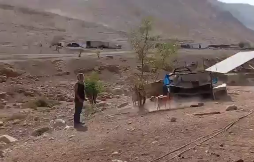 Thumbnail preview image for the video titled: Settlers from the illegal outpost near Ras al-Ein abusing ther goats and dogs