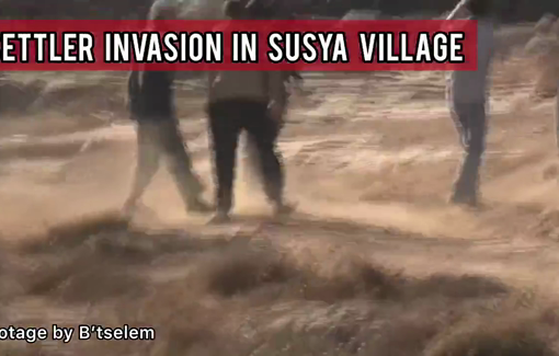 Thumbnail preview image for the video titled: in Susya: settlers entered a house yard with flocks of sheep and attacked a solidarity activist