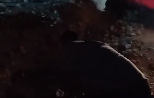 Thumbnail preview image for the video titled: In Ras al-Ein, two activists staying in the area with a protective presence were wounded by settlers