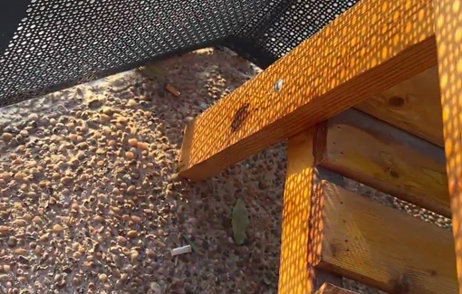 Thumbnail preview image for the video titled: Israeli soldier threatens Palestinian activist Issa Amro with eviction or death for speaking out against the occupation