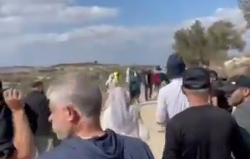 Thumbnail preview image for the video titled: Settlers, backed by Israeli forces, assault farmers and activists during the olive harvest in Kafr Qaddum