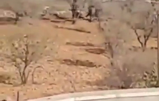 Thumbnail preview image for the video titled: Israeli settlers attack Palestinians while they are harvesting olives in the Khillat al-Nahla area, south of Bethlehem.