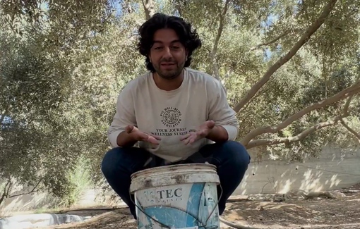 Thumbnail preview image for the video titled: Olive harvest in Gaza feels less like work and more like a homecoming