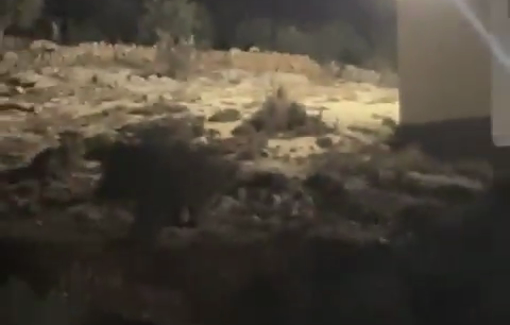 Thumbnail preview image for the video titled: Scenes from an attack by dozens of Israeli settlers on the lands of Burqa Village