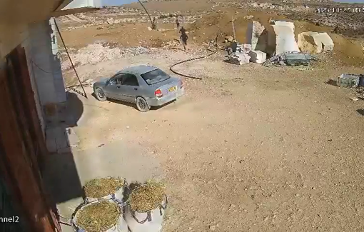 Thumbnail preview image for the video titled: In Samoa, after assaulting lambs, settlers attempted to break into the house