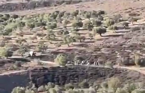 Thumbnail preview image for the video titled: Israeli Settlers and soldiers expelled Palestinian harvesters from their lands near Burin