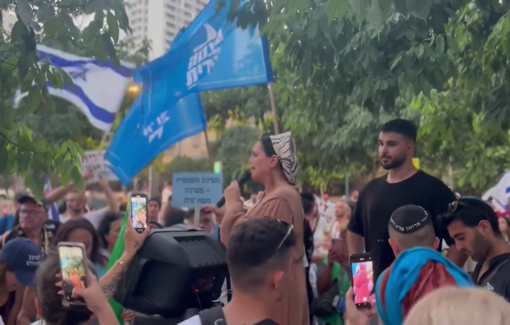 Thumbnail preview image for the video titled: MK Limor Sun Har Melech inciting against the Military Advocate General "who persecutes our soldiers"