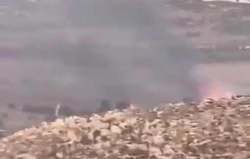 Thumbnail preview image for the video titled: Israeli settlers set fire to olive trees in the plains of Turmus Ayya