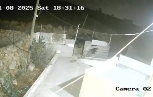 Thumbnail preview image for the video titled: Settlers attack on Palestinian homes in the “Shakara” community east of the village of Duma