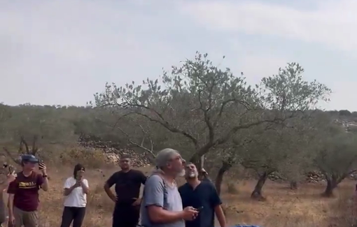 Thumbnail preview image for the video titled: An Israeli drone hits and injures an activist during an olive harvest near the Revava settlement in Deir Istiya