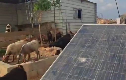 Thumbnail preview image for the video titled: This is not agriculture. It is ethnic cleansing.