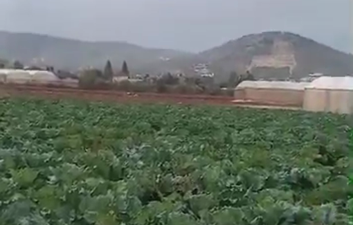 Thumbnail preview image for the video titled: Israeli occupation forces besieged a Palestinian home in the village of Marka in Jenin