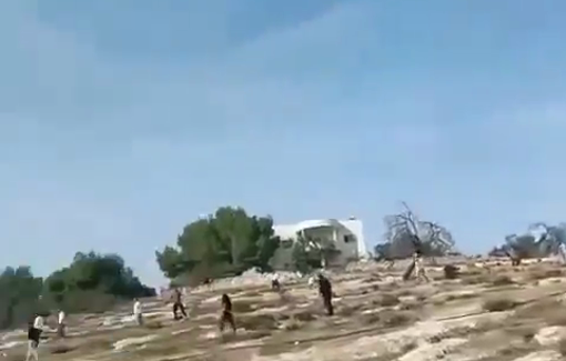 Thumbnail preview image for the video titled: Israeli settler terrorists attack Khalayel al-Loz, shooting, injuring, and beating Palestinians