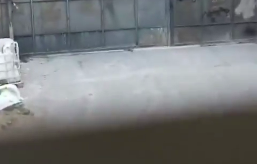 Thumbnail preview image for the video titled: Israeli raids, arrests, and abuse of residents in Qalqilya and the Kafr Saba area