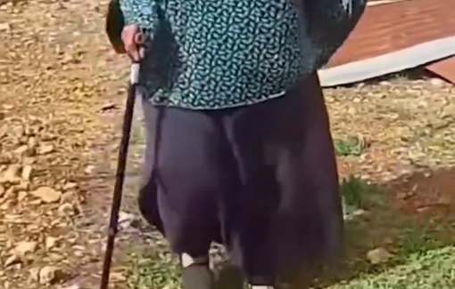 Thumbnail preview image for the video titled: Olive trees uprooted: "Oh, our pain and our suffering, if only we had died before seeing them"