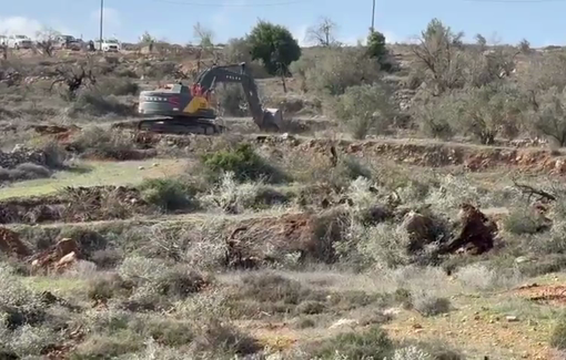 Thumbnail preview image for the video titled: Israeli forces uprooted about 500 mature trees in the village of Qaryut