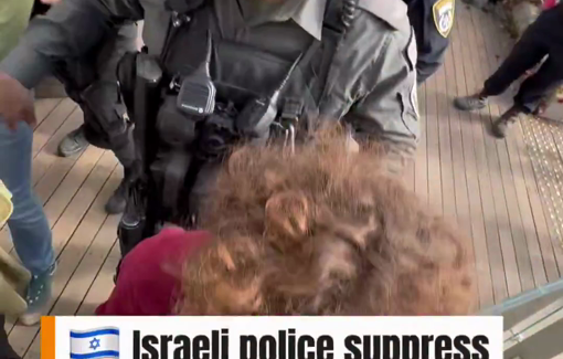 Thumbnail preview image for the video titled: 'City of David' tourist site is used by Israel as an excuse to ethnically cleanse the Silwan neigborhood of Jerusalem