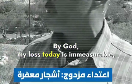 Thumbnail preview image for the video titled: olive terror