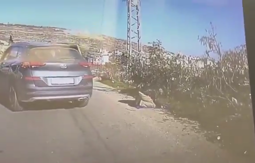 Thumbnail preview image for the video titled: Settler reservist rams ATV into praying Palestinian in Deir Jarir