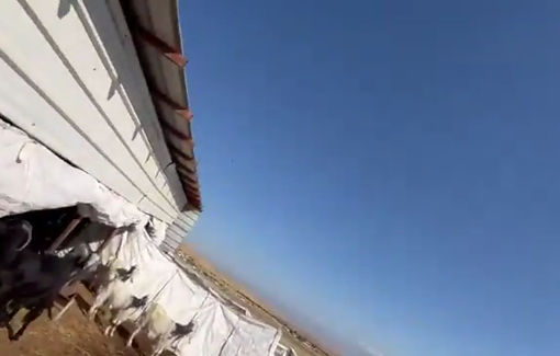 Thumbnail preview image for the video titled: Sabbath harrassement by settler in Ras Al Auja Baudouin community