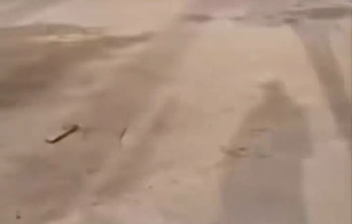 Thumbnail preview image for the video titled: Israeli forces seized a Palestinian home in Al-Lubban ash-Sharqiya, turning it into a military outpost