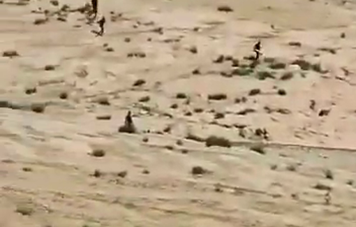 Thumbnail preview image for the video titled: A number of Palestinians were injured by settlers during their rampage on Al-Rashayda area