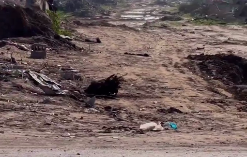 Thumbnail preview image for the video titled: Israeli forces intensified random gunfire toward residents in Gaza City’s eastern Zeitoun neighborhood