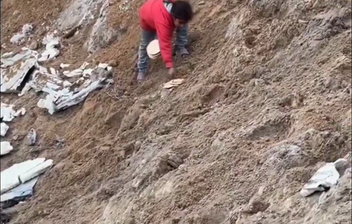 Thumbnail preview image for the video titled: a little girl retrieving the pieces of bread that the Israeli shelling had buried in the tents of the displaced in northwestern Gaza