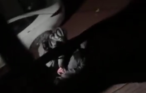 Thumbnail preview image for the video titled: Israeli Border police carrying out raids and arrests in the Shuafat RC for a third consecutive day,