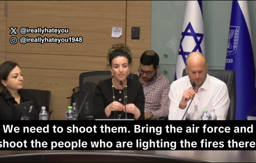 Thumbnail preview image for the video titled: In a Knesset committee discussion MK Idit Silman calls to murder every Palestinian in the West Bank suspected of lighting a garbage fire.