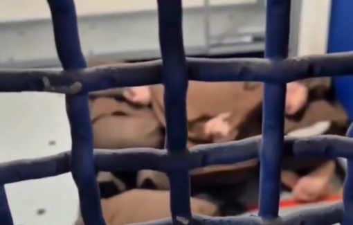 Thumbnail preview image for the video titled: Channel 12's hosts went to a "festive visit" at the Ayalon Concentration Camp