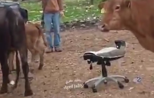 Thumbnail preview image for the video titled: A settler reservist harasses the last remaining family of Khirbet al-Fayasil