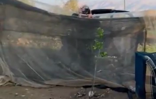 Thumbnail preview image for the video titled: A settler reservist he lets his livestock into thevyard of the last remaining family of Khirbet al-Fayasil