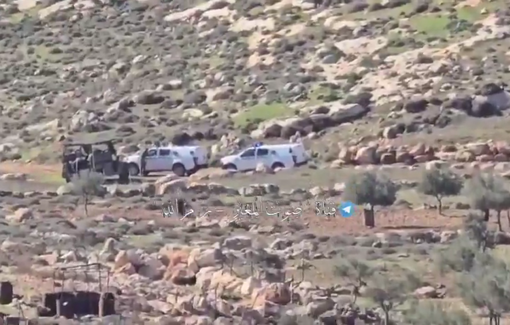 Thumbnail preview image for the video titled: Israeli soldiers detained four international solidarity activists attempting to document settler attacks