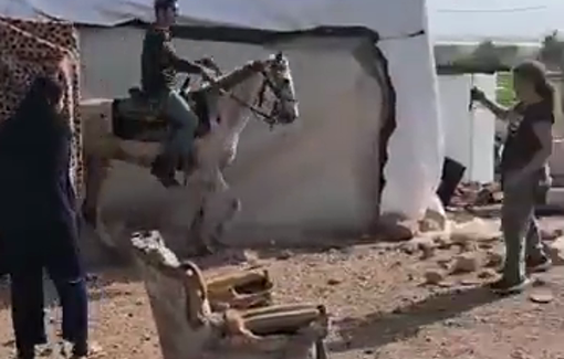 Thumbnail preview image for the video titled: In Fayasil, they arrive daily with a herd of cows to harass and threaten the family.