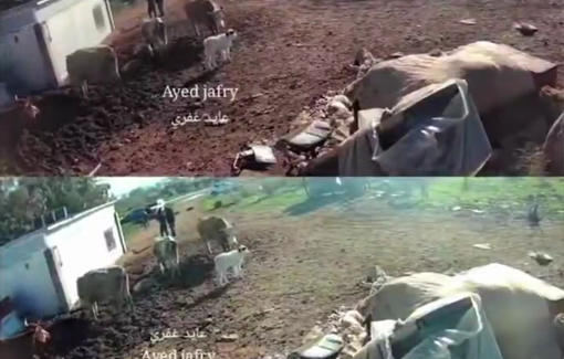 Thumbnail preview image for the video titled: Israeli settlers harassed Palestinian man Abdel Hadi Abait by proforming provocative tours in the vicinity of his home