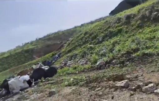 Thumbnail preview image for the video titled: Israeli forces carried out a large-scale demolition campaign today in Ein al-Hilweh, al-Miyta, and al-Burj.